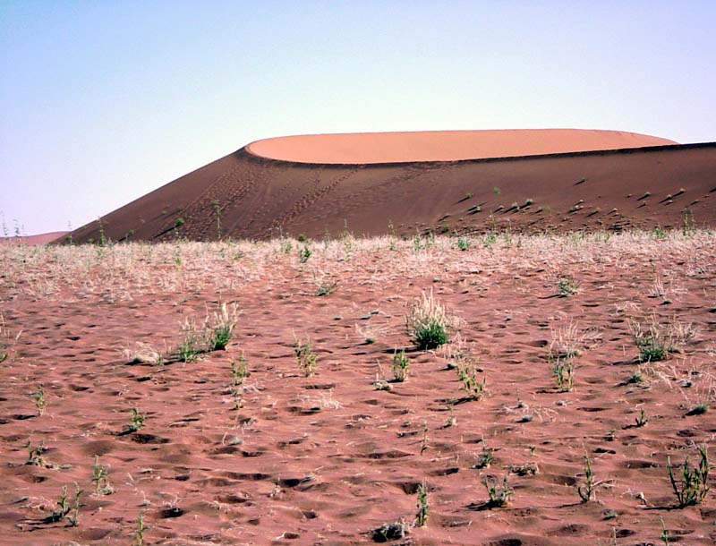 namibia sand dune