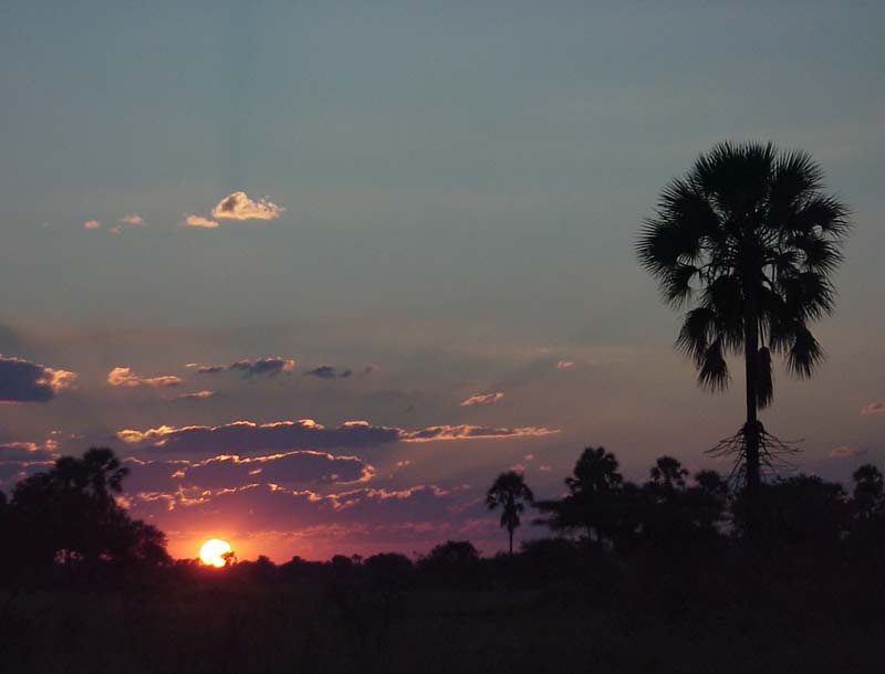 sunset botswana