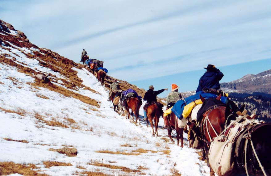 horseback